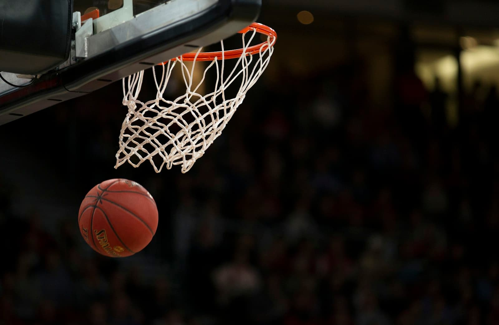Debate: Who's Really the Best Freshman in the Country?
